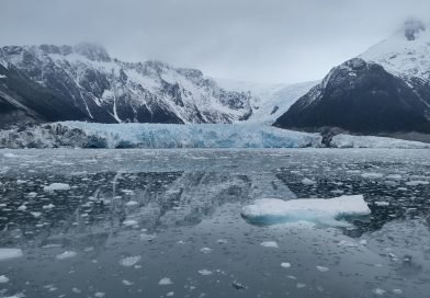 Viaje SubAntártico a los Glaciares Fueguinos